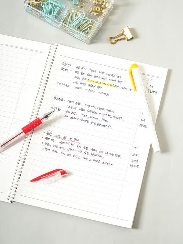 Section Lined Notebook - 32 Sheets